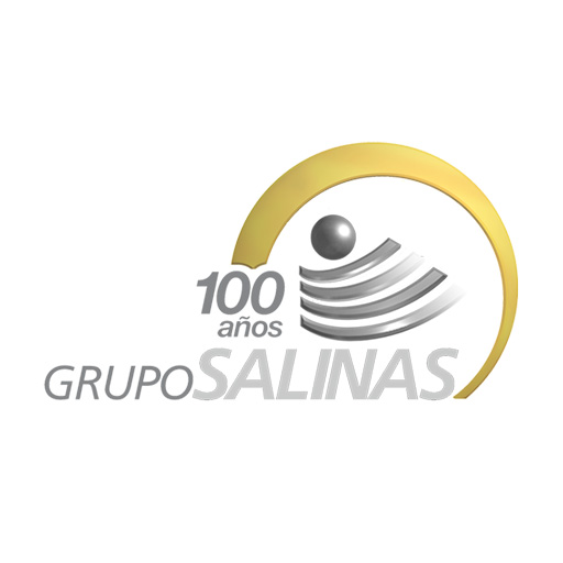 Grupo Salinas