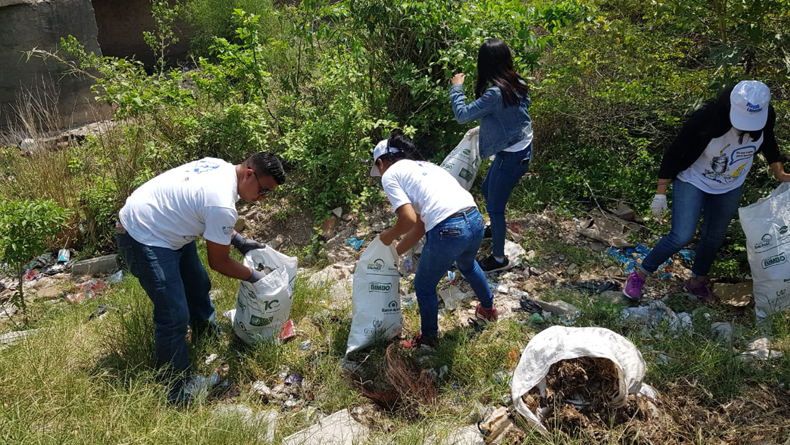 2019-05-31/limpiemos-guatemala-es-reconocida-por-la-onu